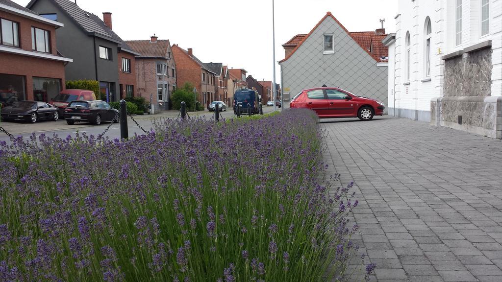 B&B Kasteel De Windt Nieuwkerken-Waas Zewnętrze zdjęcie